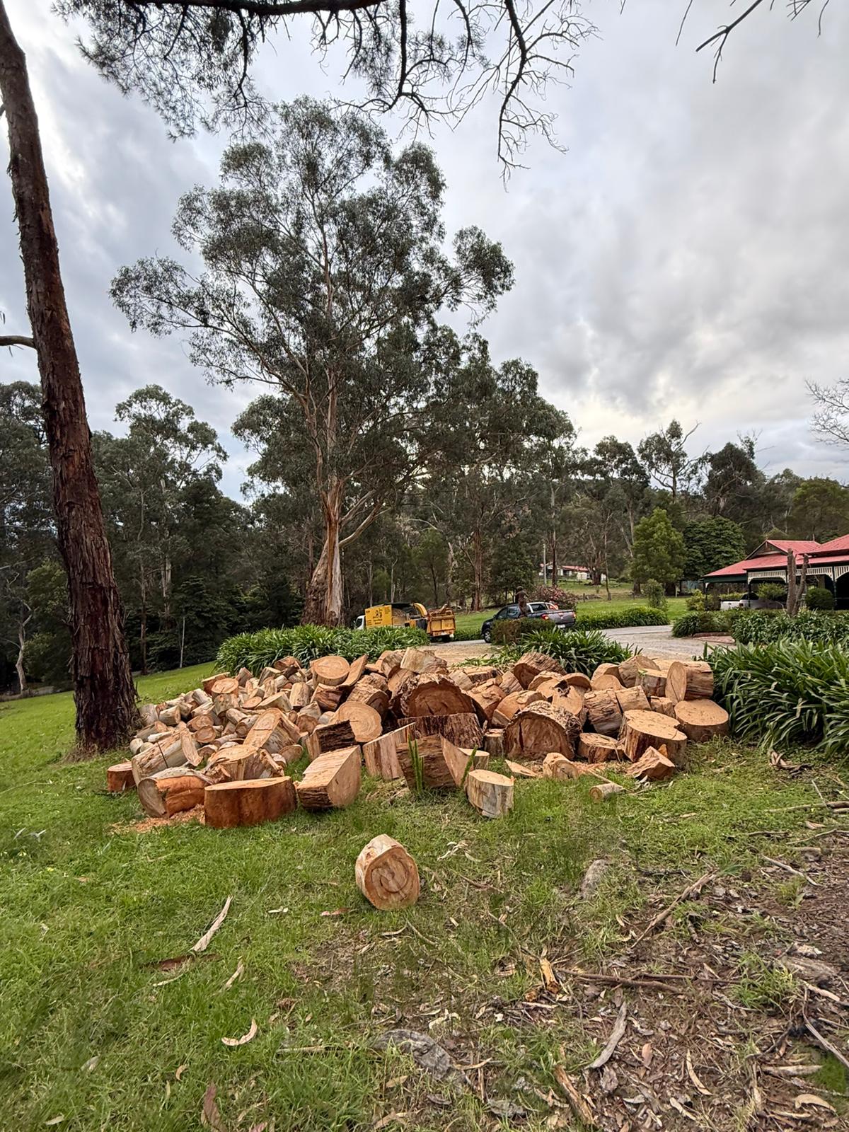 Tree Removal Melbourne