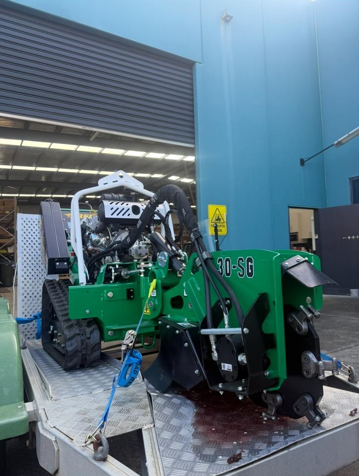 Tree Removal in Victoria