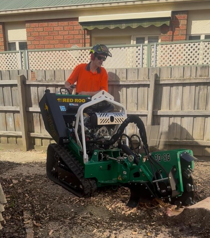 Tree Removal in Victoria